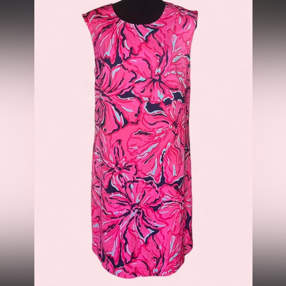 Lilly Pulitzer Pink and Blue Labeled Dress